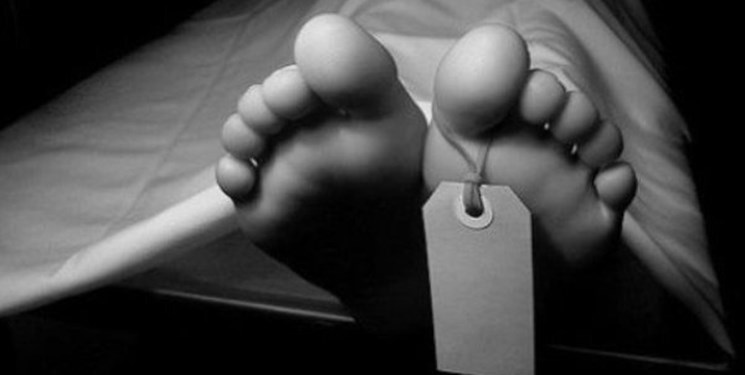 گازگرفتگی جان 87نفر را در پاییز گرفت