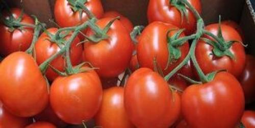 دانه‌های این میوه بهتر از آسپرین است