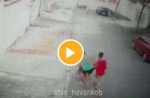 حمله سگ ولگرد به یک کودک