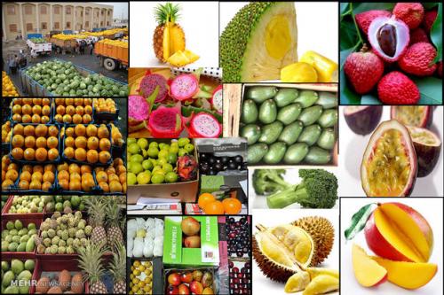 رخ‌نمایی میوه‌های ممنوعه در فضای مجازی؛ از اژد‌ها و بلوبری تا فیسالیس 