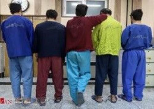 بازداشت تخریبگران ۲۳ دستگاه خودرو در جنوب پایتخت 