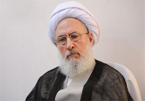 نظر عضو مجمع درباره رد صلاحیت‌ها