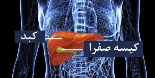 کیسه صفرا چیست و در بدن ما چه می‌کند؟ 