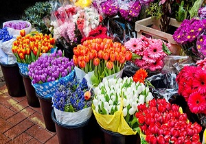 نرخ انواع گل برای روز مادر