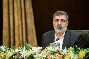هدف از تحریم صالحی توقف غنی سازی است/ این نوع تحریم ها ارزش ندارد