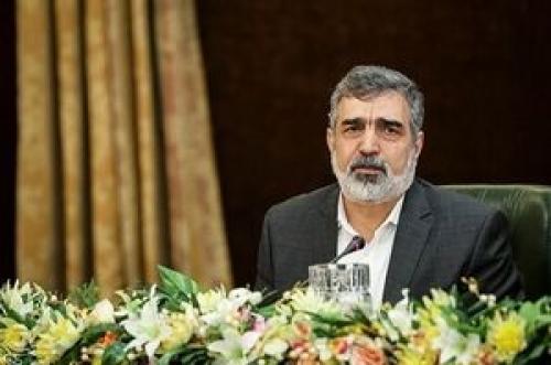 هدف از تحریم صالحی توقف غنی سازی است/ این نوع تحریم ها ارزش ندارد