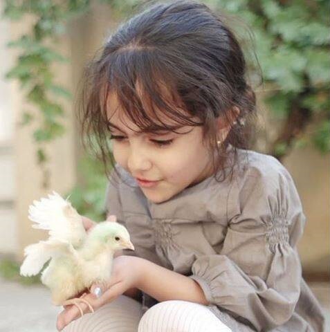 پست متفاوت همسر شهیدِ هسته‌ای در روز مهندس