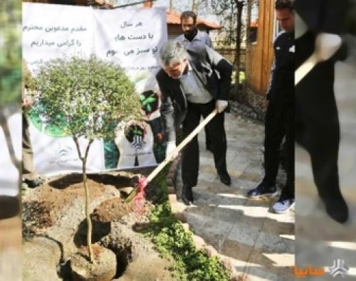ترویج درختکاری در گروه خودروسازی سایپا