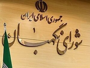 ایرادات شورای نگهبان به بخش های مبهم بودجه