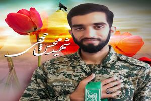  عکس دیده نشده از تولد پسر شهید حججی
