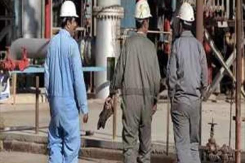 جلسه نمایندگان فراکسیون کارگری مجلس با وزیر کار