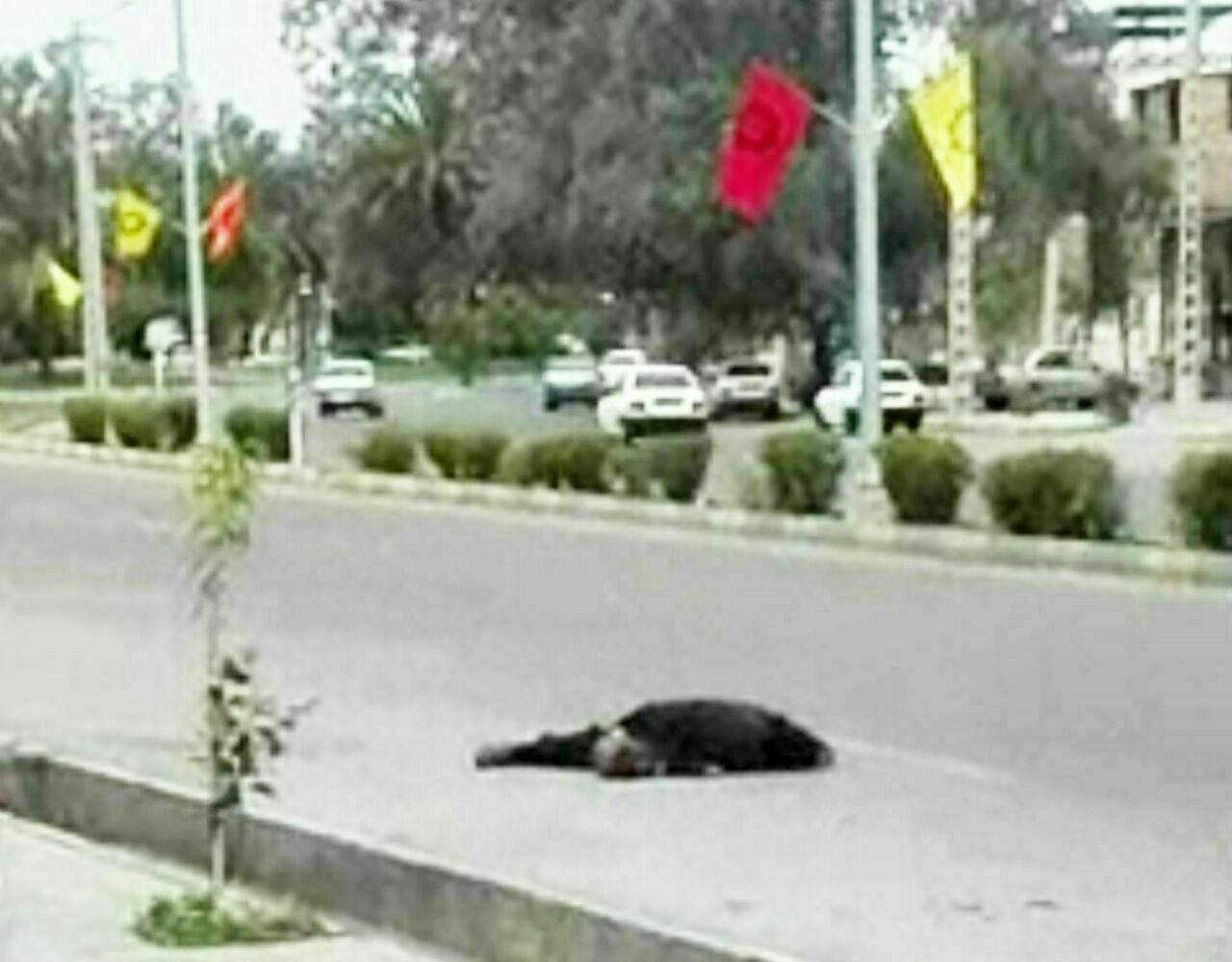 ماجرای غش کردن بانوی بمی در خیابان