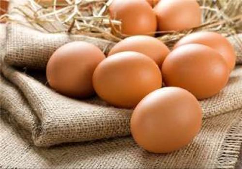  مبارزه با کرونا با خوردن تخم مرغ 