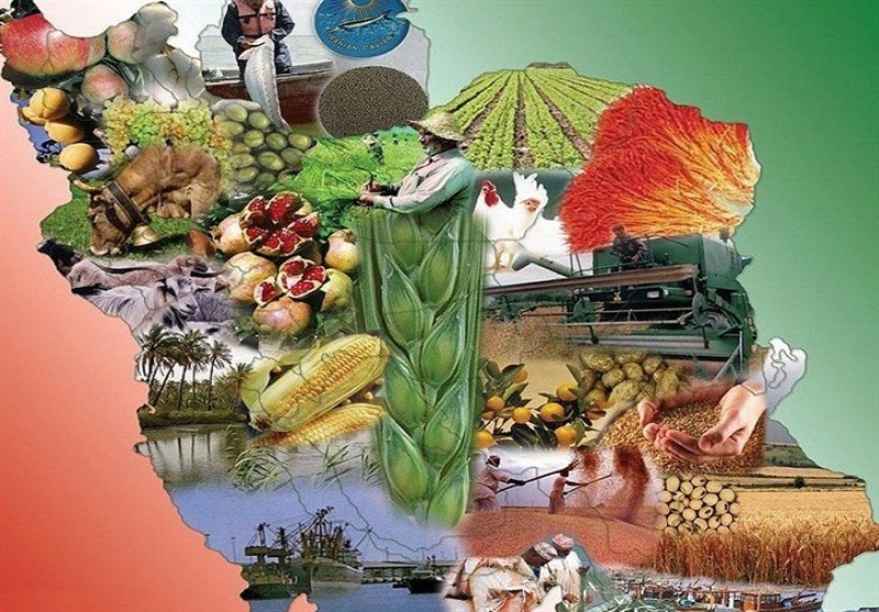 این یک بلوف نیست؛ «ایران، می‌تواند غذای ۵۰۰میلیون نفر را تأمین کند» 