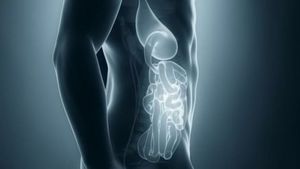 فیلم/ وقتی روزه می‌گیریم چه اتفاقی در بدن ما می‌افتد؟