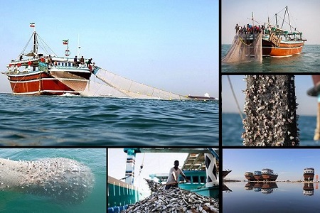 جولان «ترال» همچنان در خلیج‌فارس