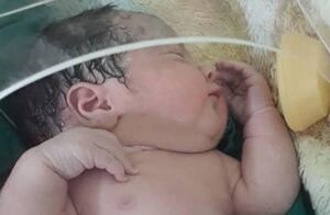 نجات نوزاد رها شده در سطل زباله