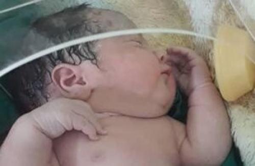 نجات نوزاد رها شده در سطل زباله