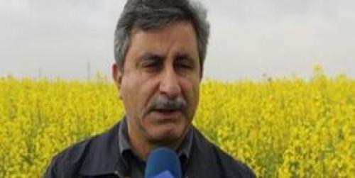  واردات روغن کشور در انحصار ۴ یا ۵ نفر