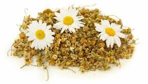  گلی معروف به داروخانه گیاهی
