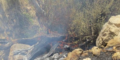 آتش خائیز باز هم زبانه کشید