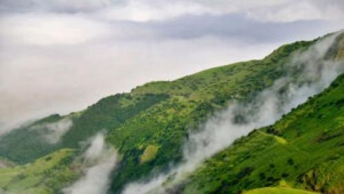  جنگل‌های زاگرس چطور ۴۵ درصد منابع آب ایران را تامین می‌کنند؟