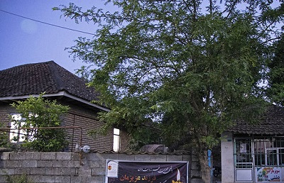  تصاویری از خانه دختر نوجوان «رومینا»