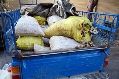 کشف محموله موسیر قاچاق