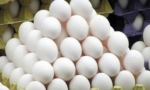 دلیل گرانی تخم مرغ مشخص شد