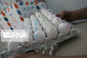 قیمت تخم‌مرغ در بازار همچنان بالاست