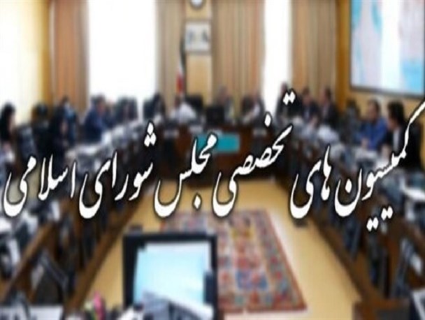 نکات قوت و ضعف ساختار تعیین کمیسیون های تخصصی
