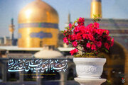 فیلم/ صلوات خاصه حضرت امام رضا(ع)
