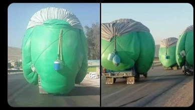 ماجرای رصد خودروهای عجیب توسط ماهواره‌های جاسوسی +عکس