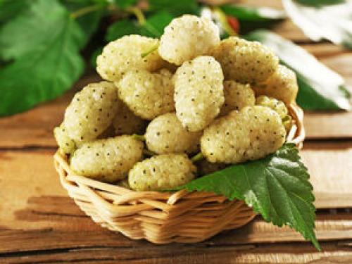 کاهش کلسترول بد با این میوه تابستانی