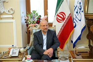 بین قانونگذاری و نظارت اولویت ما نظارت است/ نمی‌خواهیم چوب لای چرخ دولت بگذاریم