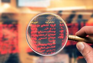 خبری خوش که فعالان بورس در انتظار آن بودند