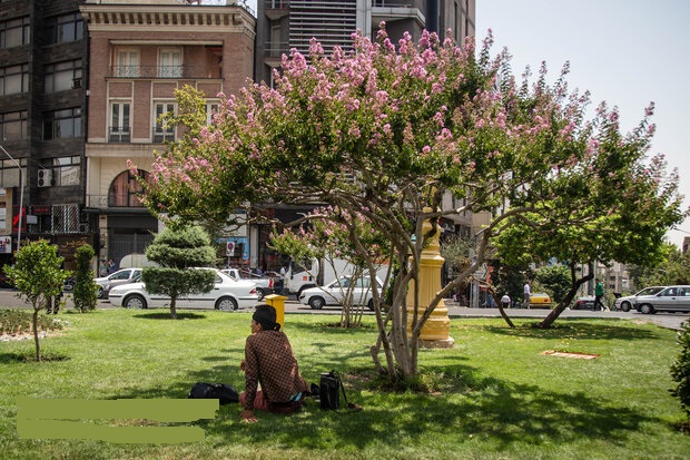 دمای ۳۰ درجه‌ای تهران