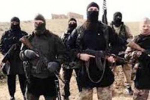 مفتی داعش در الانبار به هلاکت رسید