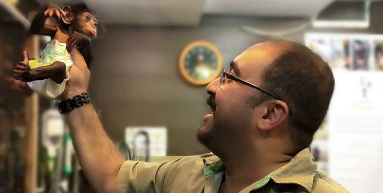 مرگ در یک‌قدمی تنها بچه‌شامپانزه ایران