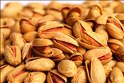 برداشت پسته وحشی+عکس
