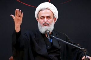 فیلم/ واکنش پناهیان به ماجرای ملک چند میلیاردی