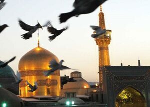 رییس نظام پزشکی: از سفر به مشهد بپرهیزید