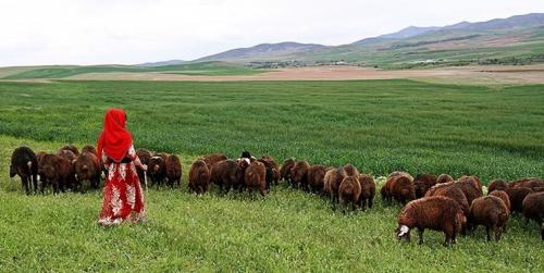 گمنامان اقتصاد مقاومتی+ویدئو