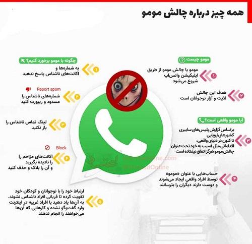اینفوگرافی/ همه چیز درباره چالش مومو