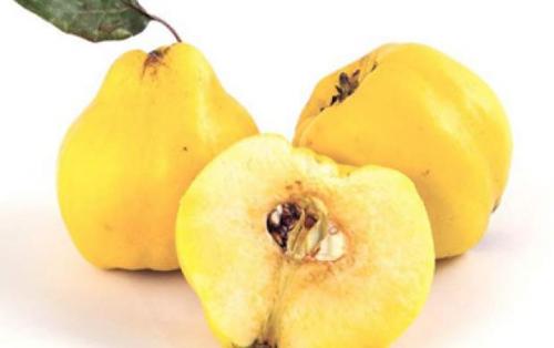 این میوه سیستم ایمنی‌تان را قوی می‌کند