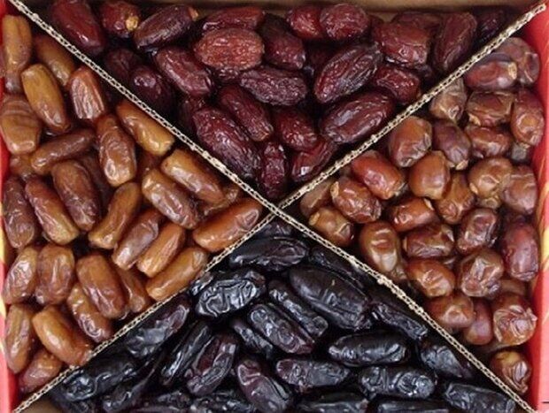 افزایش صادرات خرما از استان بوشهر 
