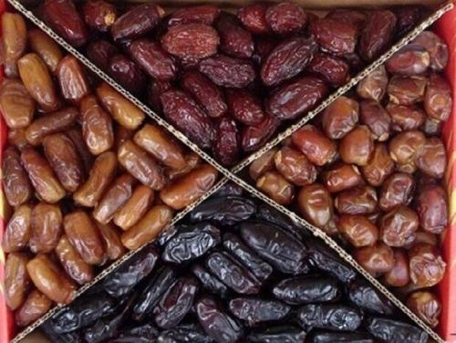 افزایش صادرات خرما از استان بوشهر 