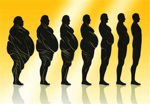  کاهش سایز مهم‌تر است یا کاهش وزن؟