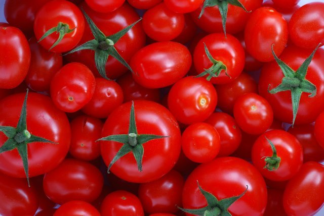  آغاز توزیع گوجه فرنگی جنوب در میادین