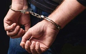 عامل حمله به عوامل انتظامی دستگیر شد